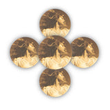 Fearless era inspired record player car perfume refill discs – 5 pack